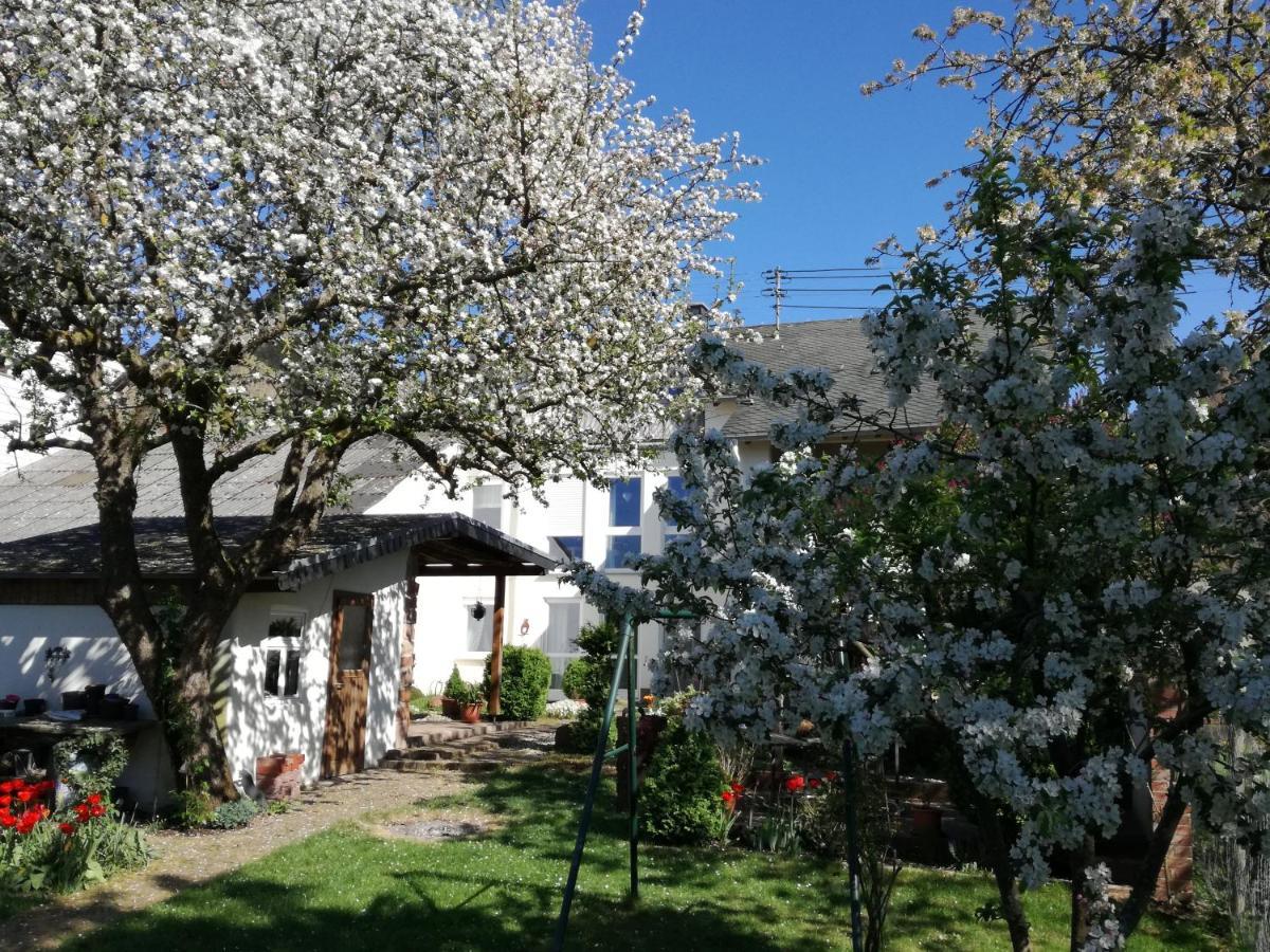 Fewo Thul Plein Dış mekan fotoğraf